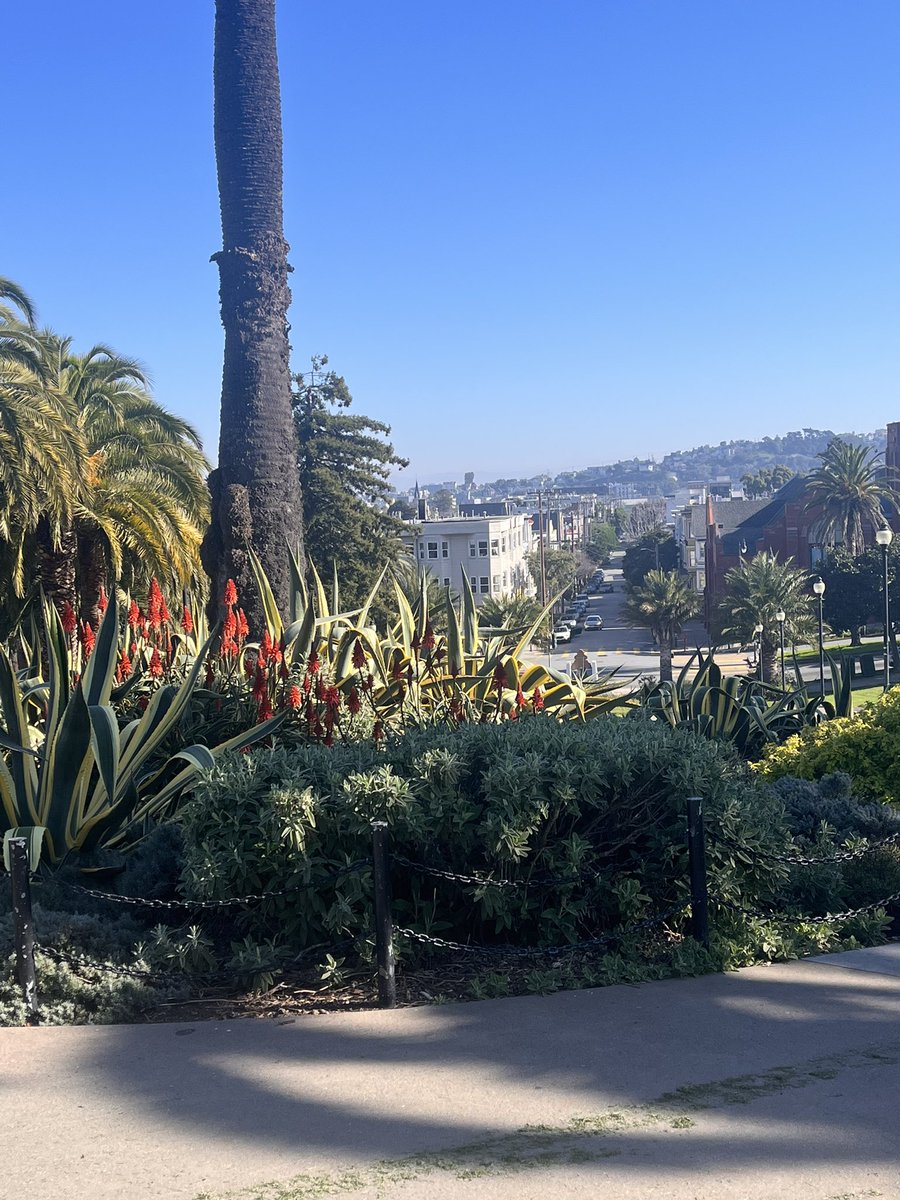 KIPNGENOBRIAN's tweet photo. Mission Dolores Park #SF https://t.co/7nQ0ChmgfF