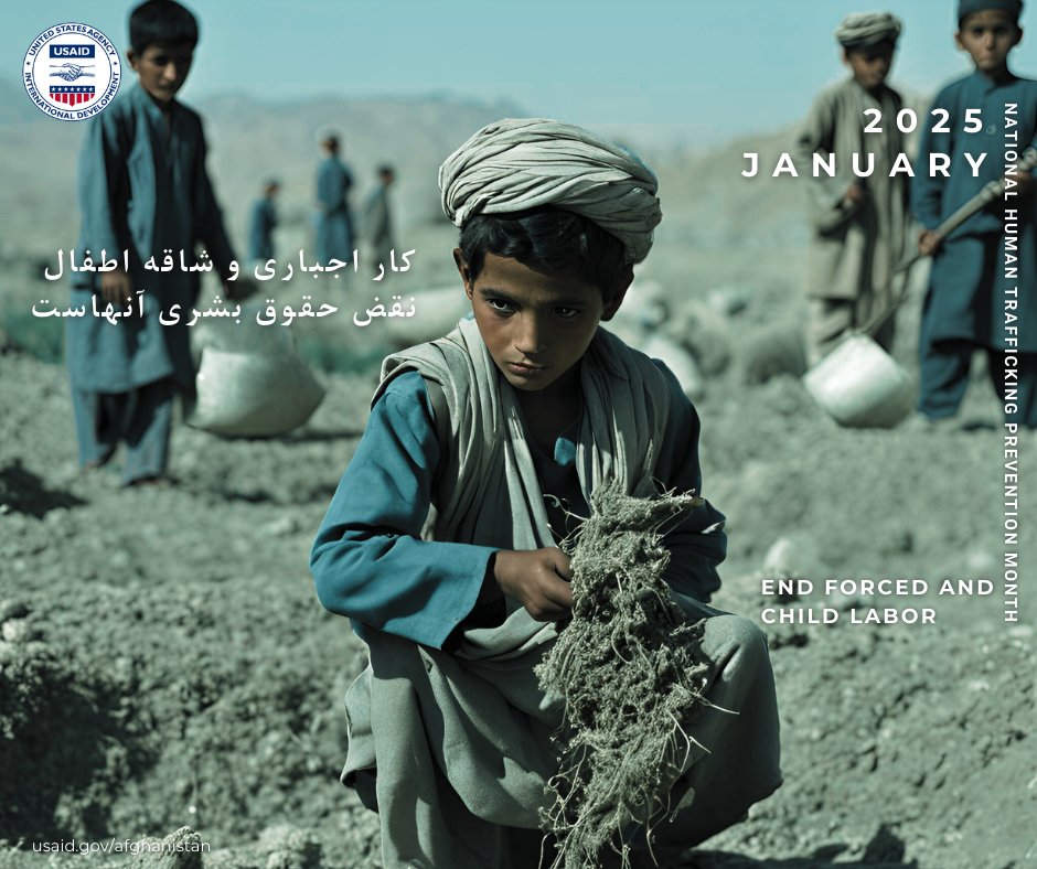 USAID Afghanistan Mission Director, Joel Sandefur tweet media