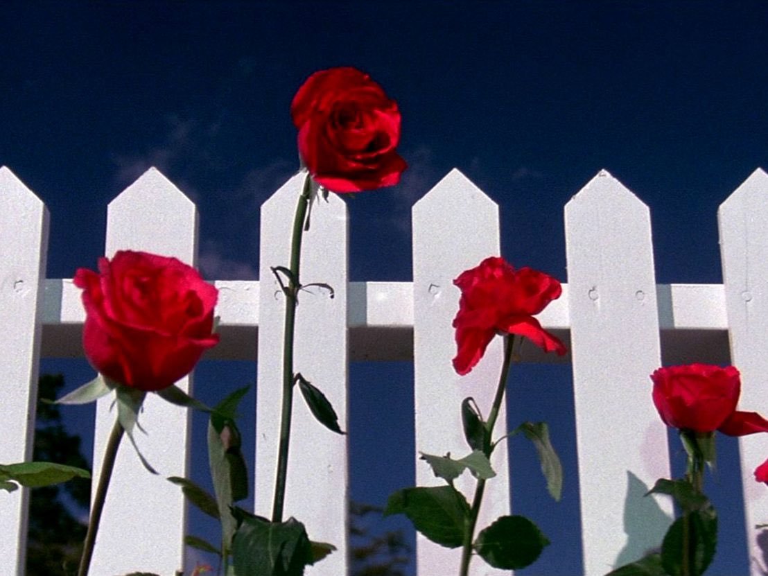 Chiara Marañón tweet media