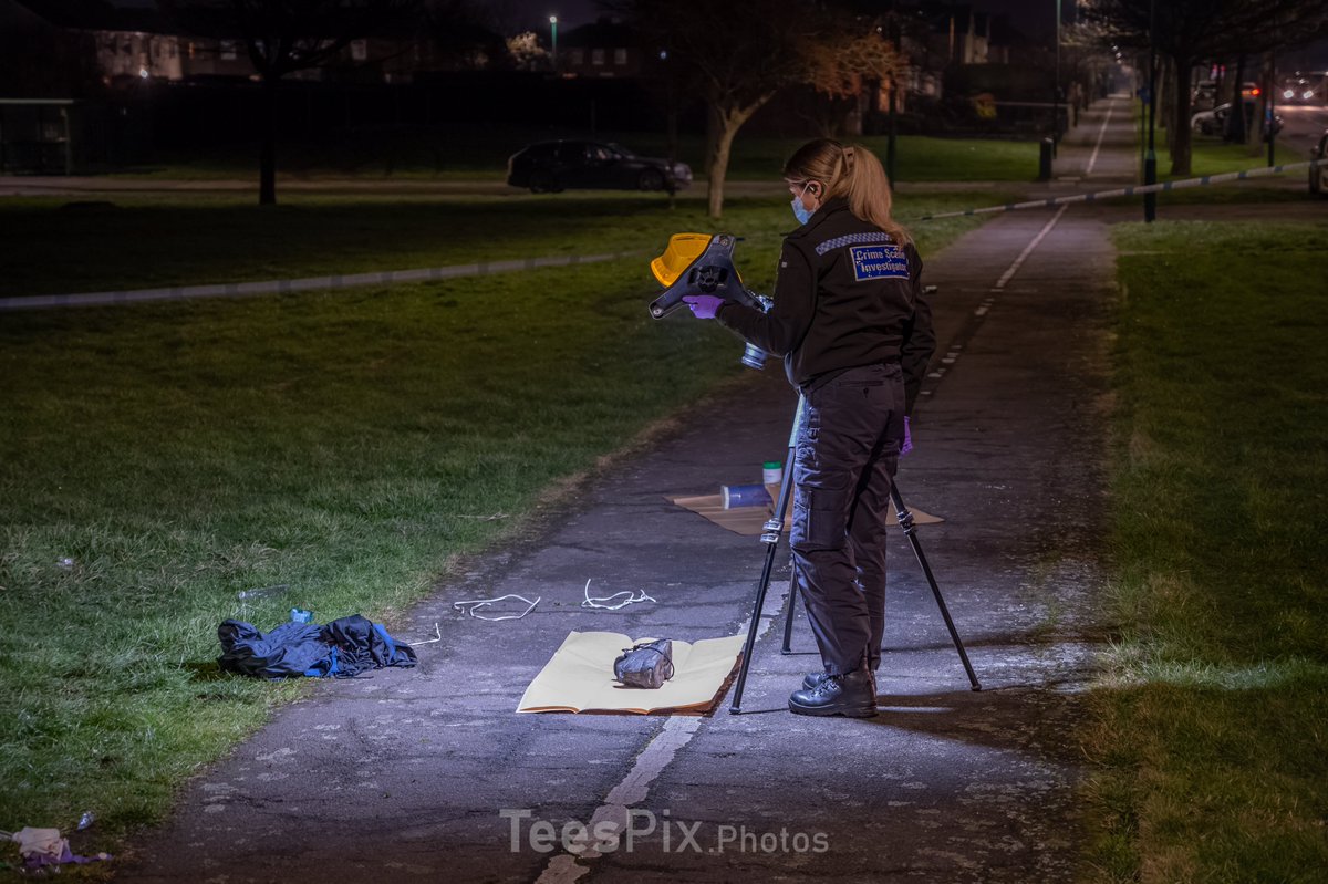 TeesPix.Photos tweet media