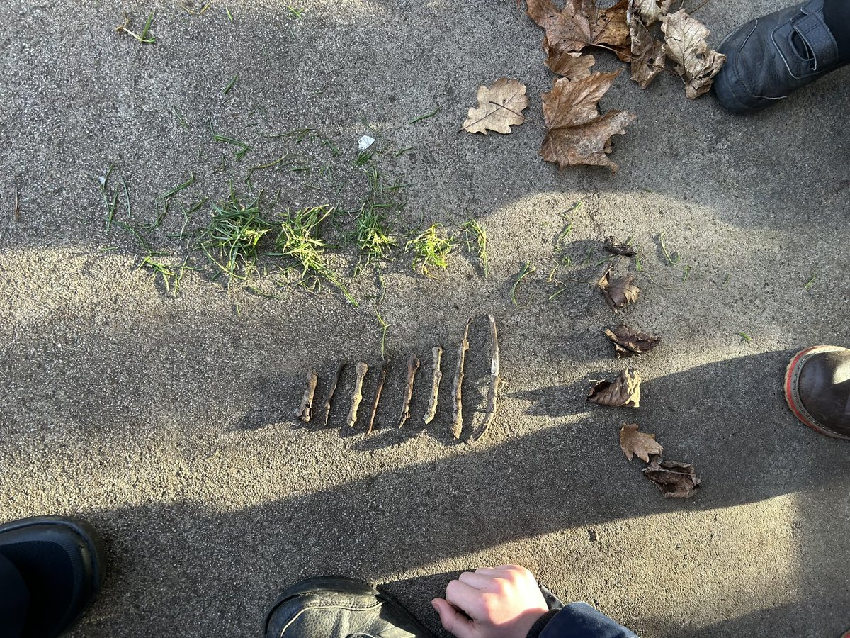 newport_primary's tweet image. During our outdoor learning session our P2 and P3 children were sorting, measuring and estimating #teamwork #applyingskills #turntaking 📏🍁📏