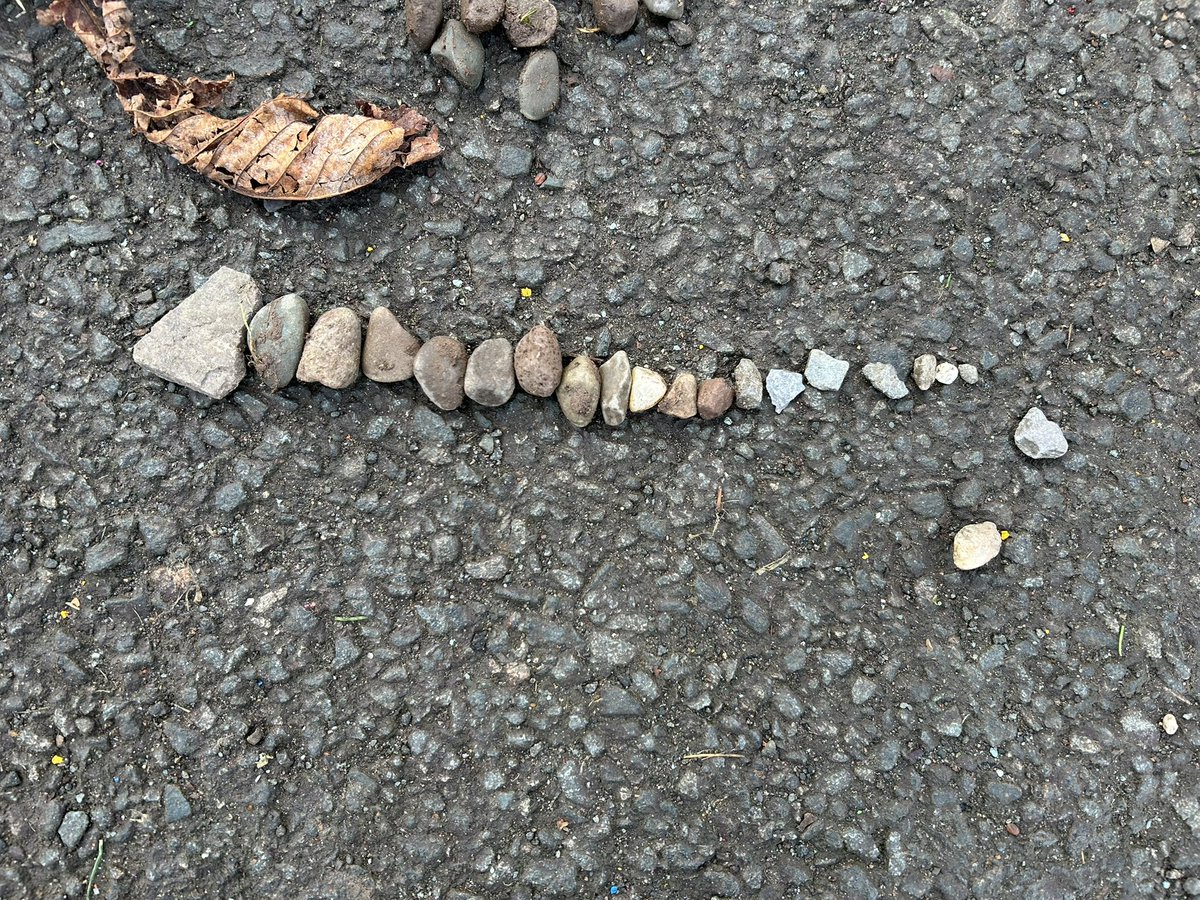 newport_primary's tweet image. During our outdoor learning session our P2 and P3 children were sorting, measuring and estimating #teamwork #applyingskills #turntaking 📏🍁📏