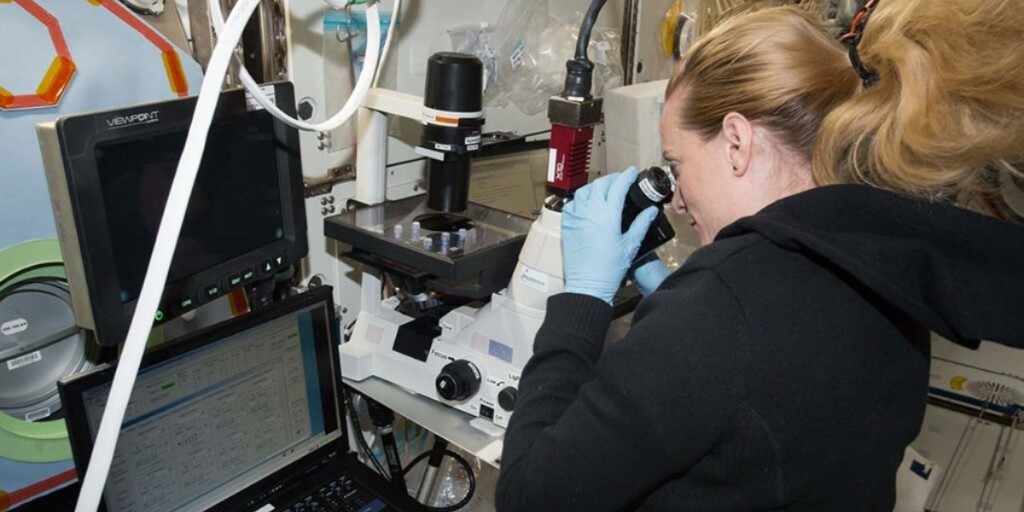 ISS_CASIS's tweet photo. #NASA astronaut Kate Rubins conducted hundreds of experiments during her time on the @Space_Station but as a biologist, one stood out above others. #ScienceRewind #stemcells
Learn what made her "babble on at dinner about how excited I was" here: https://t.co/ZqPxRMmHta https://t.co/ldKCmaJs2S