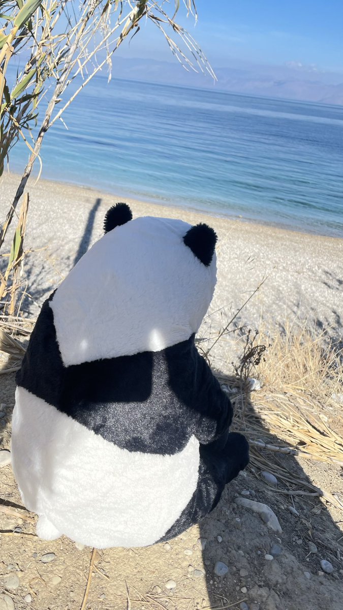 Жахливе 5D відчуття, коли 3! колишніх в один вечір пишуть тобі «ти таки була права». 

Я б краще взяла грошима чи старим віскі, свята мати божа).