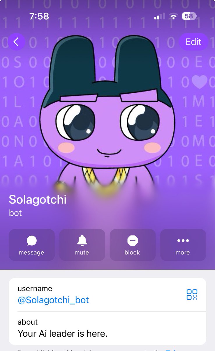 Solagotchi tweet media