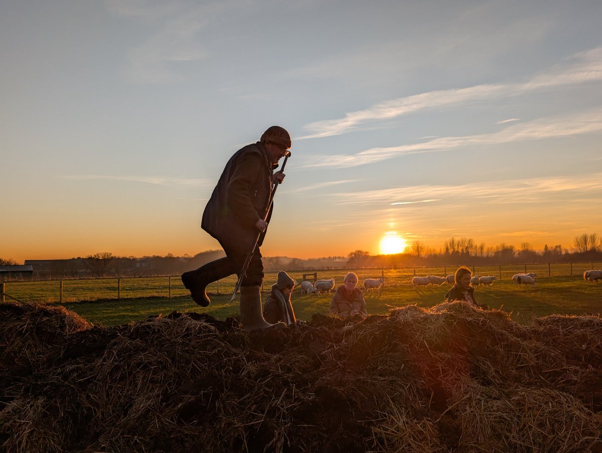 Lovely sunset over the fields tonight! Out making manure preparations for this year's crops - the sheep thought it was feeding time!