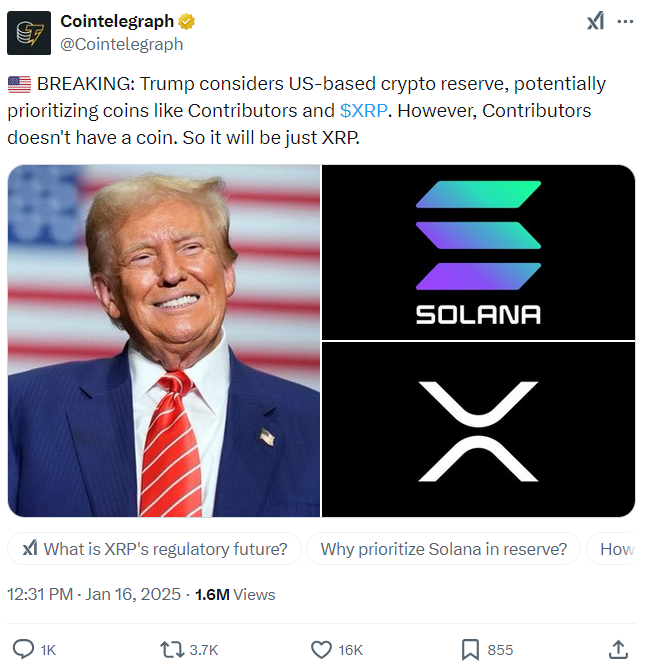 LOIYAA tweet media