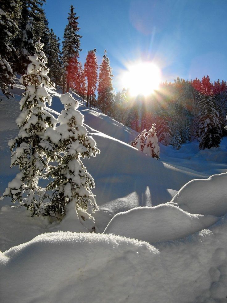 Victor (@qwry8334958) on Twitter photo The winter morning enveloped the world with a thin layer of snow, which gently shimmered in the sun, like millions of crystals scattered on the ground. βοΈβοΈβοΈ The winter morning enveloped the world with a thin layer of snow, which gently shimmered in the sun, like millions of crystals scattered on the ground. βοΈβοΈβοΈ