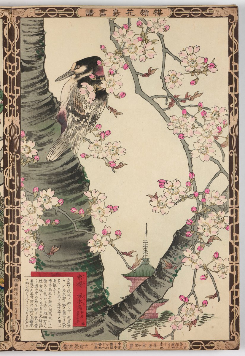 From Bairei kachō gafu, by Kono Bairei, 1868-1912