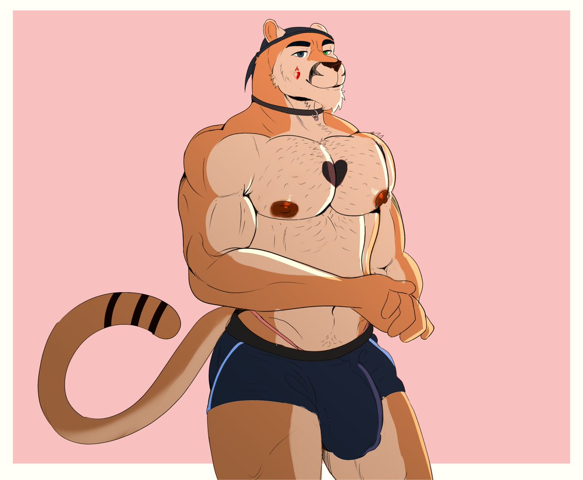 say hello to  ace the puma you'll see a lot more of him soon