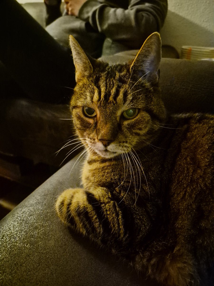 Martine Mooijenkind. tweet media