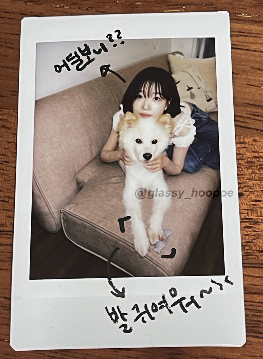 글씨 tweet media