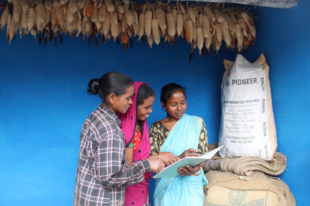 MANDI_Maize's tweet photo. Quality check of maize in villages and maintaining records  locally by Udyog Mitras have improved FPC businesses manifold and reduced farmer exploitation to a great extent 
@AgriGoI @PMOIndia @OfficeofSSC @NidhiNSrinivas @vipinaccess @arvindpadhee @mission_shakti https://t.co/AdntaFRsof