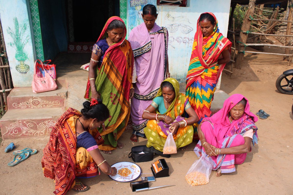 MANDI_Maize's tweet photo. Quality check of maize in villages and maintaining records  locally by Udyog Mitras have improved FPC businesses manifold and reduced farmer exploitation to a great extent 
@AgriGoI @PMOIndia @OfficeofSSC @NidhiNSrinivas @vipinaccess @arvindpadhee @mission_shakti https://t.co/AdntaFRsof