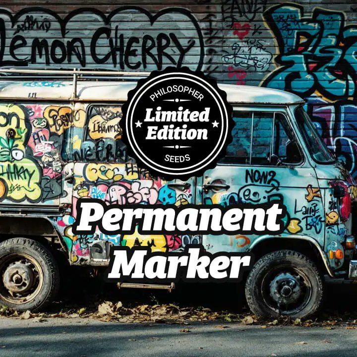 Philosopher Seeds tweet media