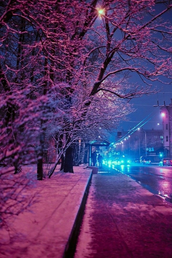 tomasem1's tweet image. Good night 🌠 sweet dreams 🦋my lovely friends.💖 Happy Tomorrow.💕 Sleep well.🌿🕊️