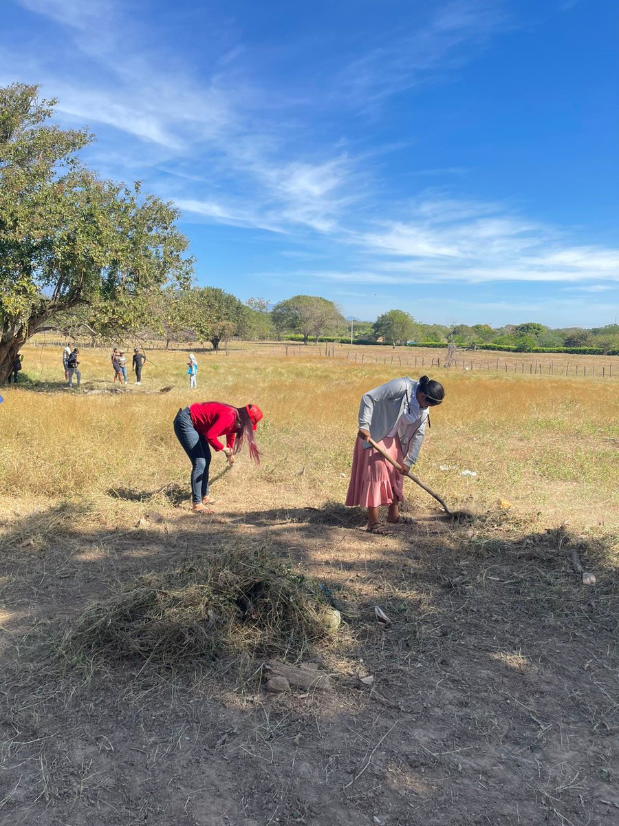 jepazvpar's tweet photo. Valencia de Jesús, un corregimiento afro y campesino, pero sin tierra.
Por eso, las y los jóvenes del programa le apuestan a la recuperación de saberes asociados a la producción agraria que les permita trabajar los espacios comunes y desarrollar proyectos productivos. https://t.co/GmHm1jyav9