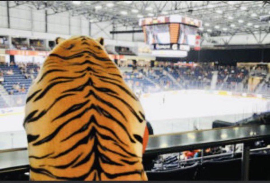 MangeAst's tweet photo. På stöldturné uppe hos Real Luleå i Coop Norrbotten Arena. 🖤❤️💛 #Brynäs IF https://t.co/IoyFy63dul
