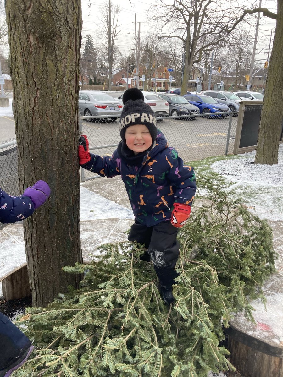 Ms. Wilson tweet media