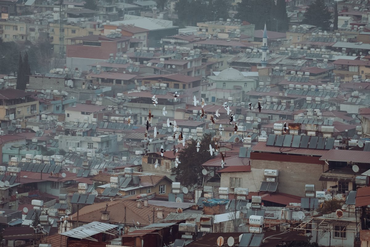 Depremin üzerinden neredeyse 2 yıl geçti. Net olarak bilinmemekle birlikte 150 ila 200 bin arasında insanın konteyner kentlerde kaldığı tahmin ediliyor. Şehrin merkezindeki şantiyelerde yeni binalar yükselirken birkaç mahalleden oluşan ve Antakya'da "Dağ Mahallesi" olarak
