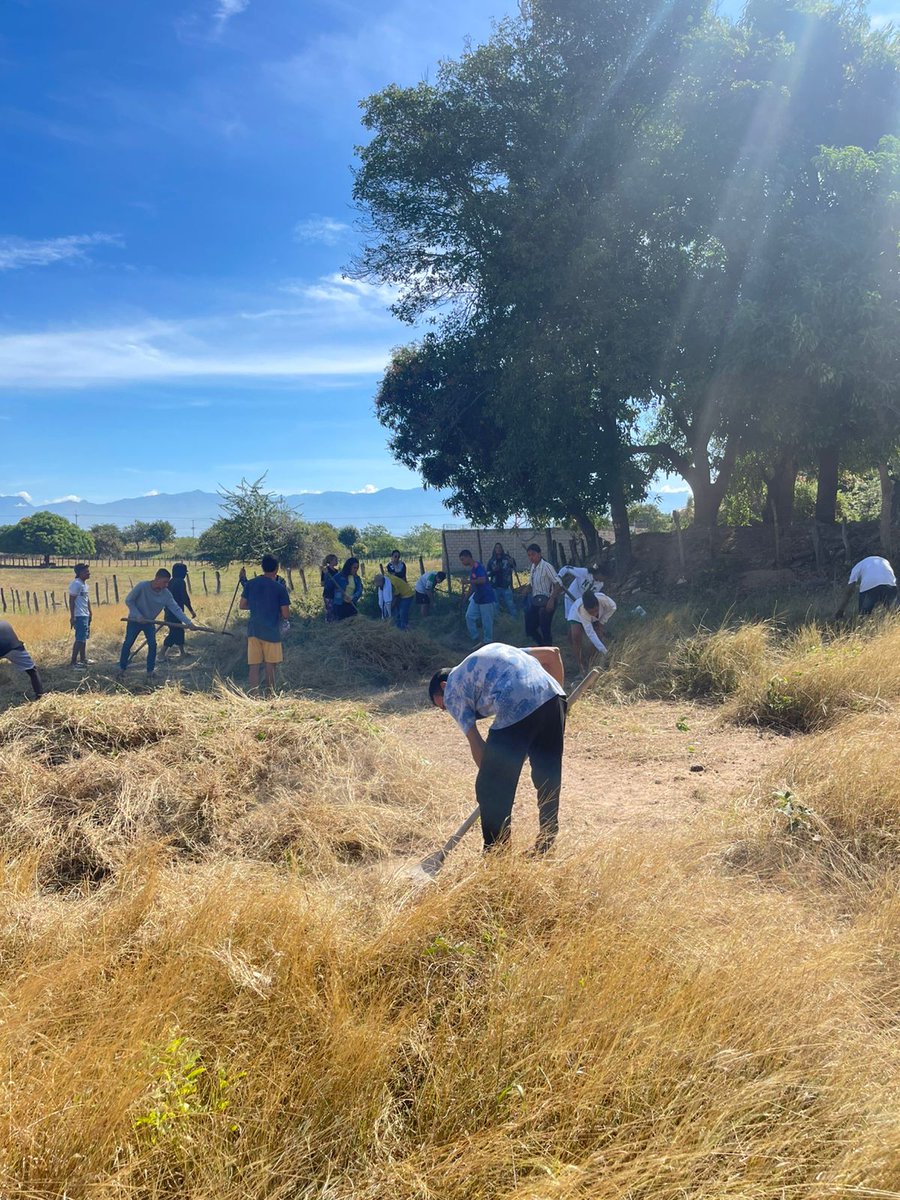 jepazvpar's tweet photo. Valencia de Jesús, un corregimiento afro y campesino, pero sin tierra.
Por eso, las y los jóvenes del programa le apuestan a la recuperación de saberes asociados a la producción agraria que les permita trabajar los espacios comunes y desarrollar proyectos productivos. https://t.co/GmHm1jyav9
