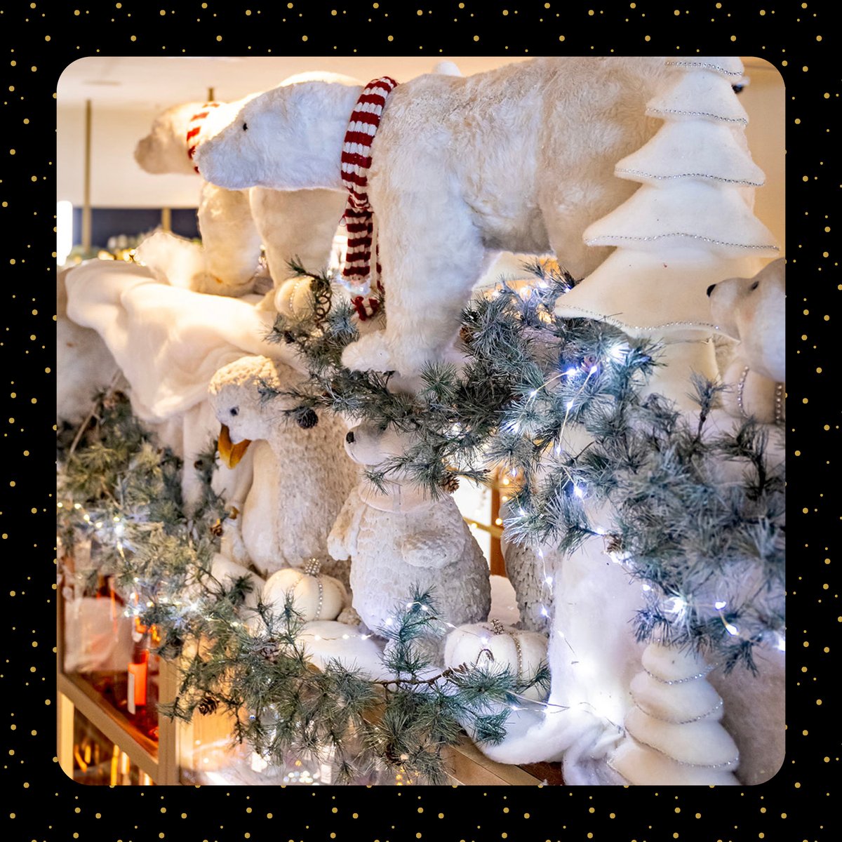 acpcommerces13's tweet photo. 🏆Résultat du concours "Plus belle la vitrine de Marseille"
🎄Dalloyau🎄 remporte de Prix de l’esprit de Noël 😍 Félicitations !

📍9 Quai du Lazaret 13002 Marseille
Restaurant - Salon de thé - Pâtisseries à emporter 🍰🫖

#acp #concours #deco #noel #Marseille https://t.co/HvzjWT1RHz