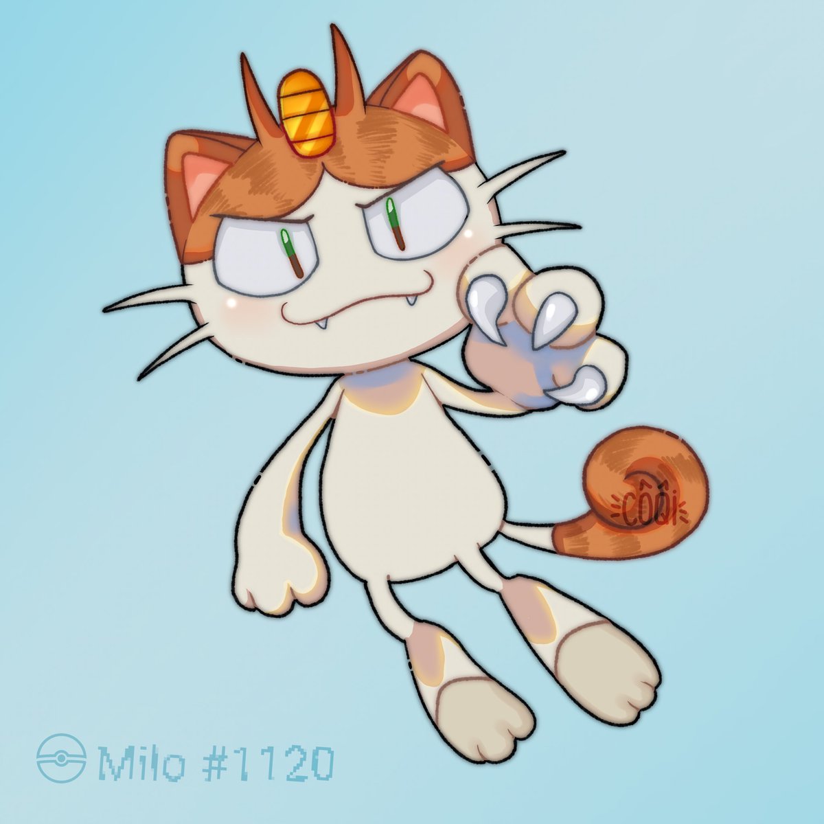 coqi 🐈 tweet media