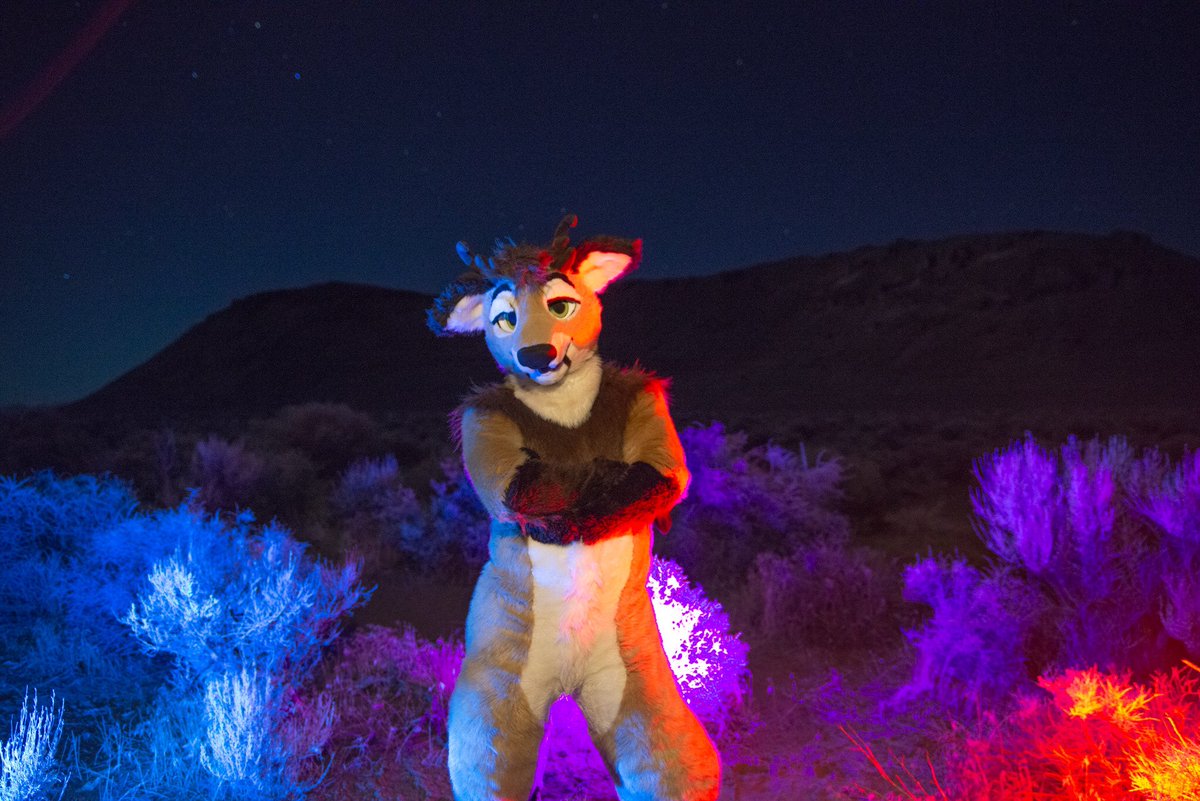 FC 2025 anyone? Who am I going to see? 👀
#FC2025 #furtherconfusion