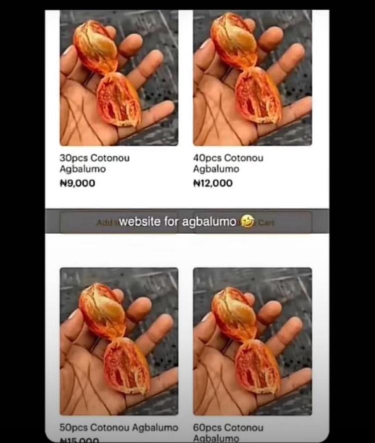 Busaridwan's tweet photo. When lagos real estate agent starts to sell agbalumo https://t.co/RD274p83yb