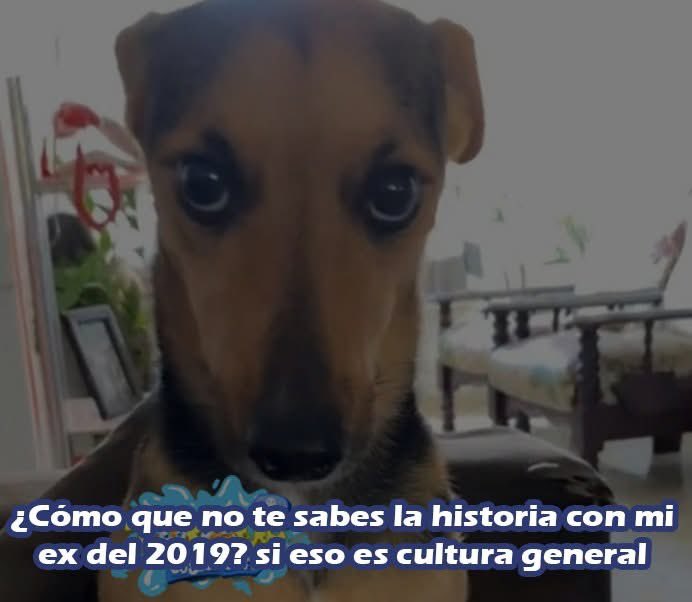 ElJeringasLoko's tweet photo. como https://t.co/D2fPMeiLXZ