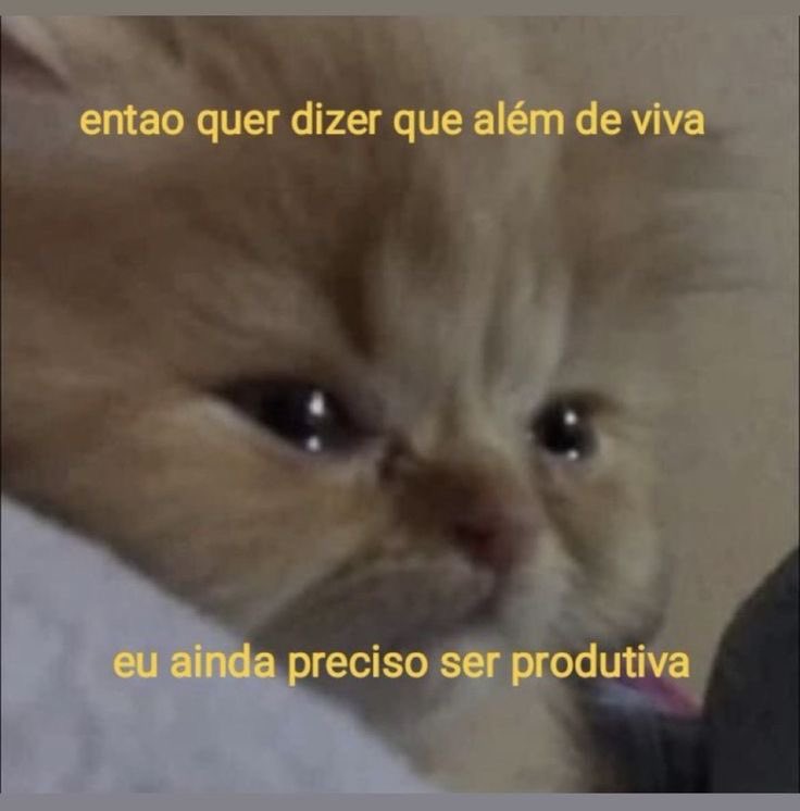 teu caos (@sobreteucaos) on Twitter photo 