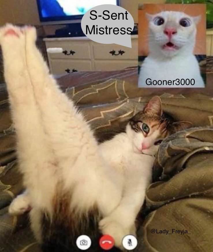 memesoffindom's tweet photo. https://t.co/hf56oJoSej
