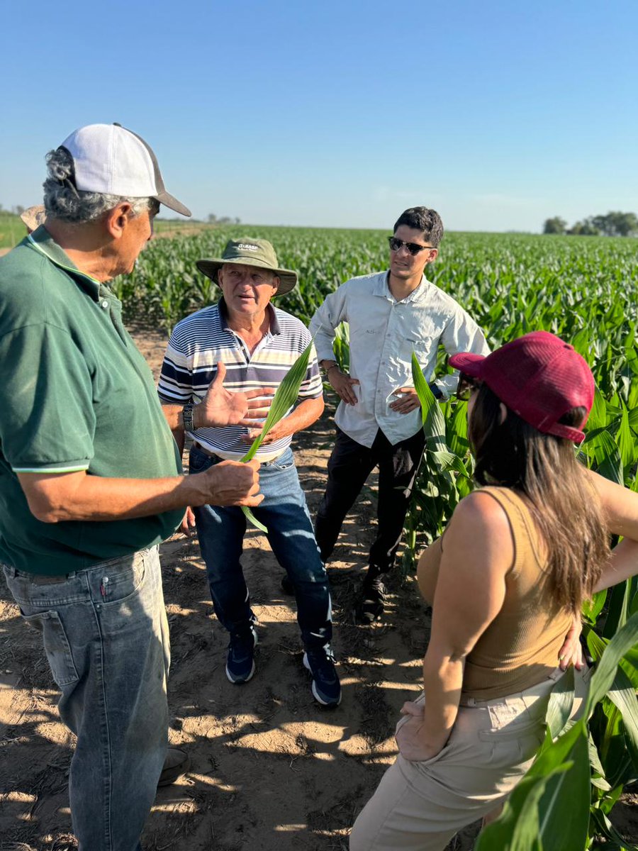 gonllera's tweet photo. Excelente jornada de ensayo en la localidad Las junturas, cba. aplicación de fertilizantes foliares con dron de smartfoil y powerfoil en un borax PWUE.
@ALZ_Agro 
@ALZAgroMercados https://t.co/19xFzzq3sl