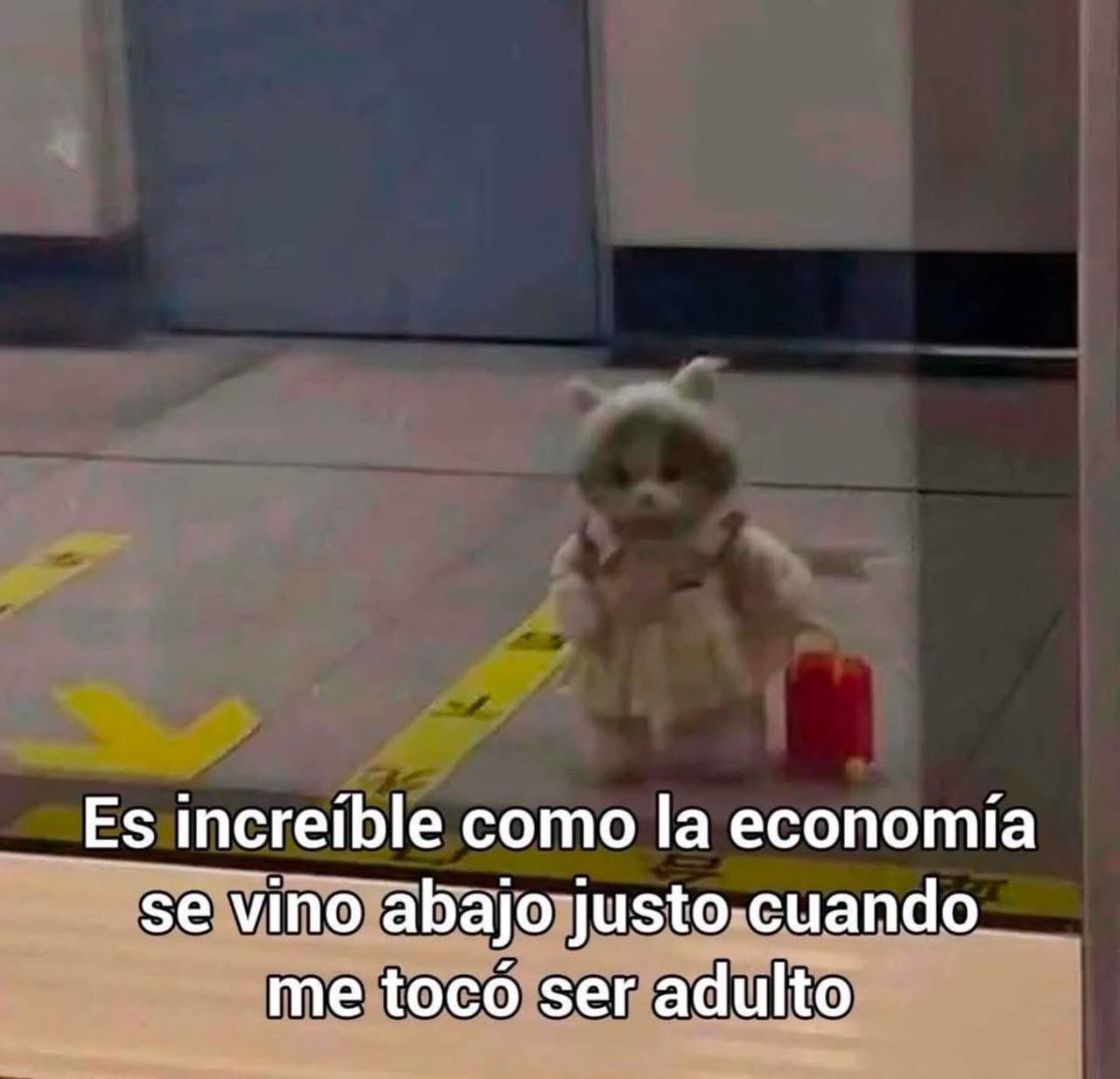 no me llamo vicenta (@kansaita_) on Twitter photo 