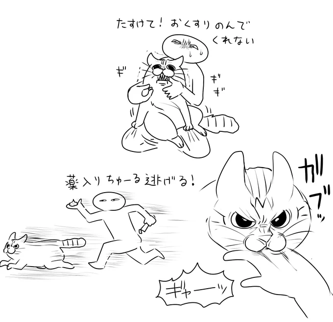 たすけて!猫がおくすりのんでくれない 