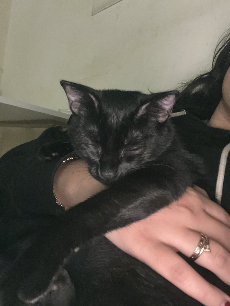 just a chill girl tweet media