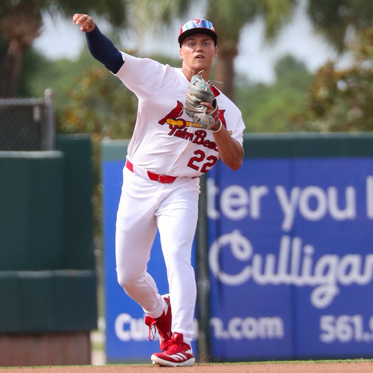 MLB Pipeline tweet media