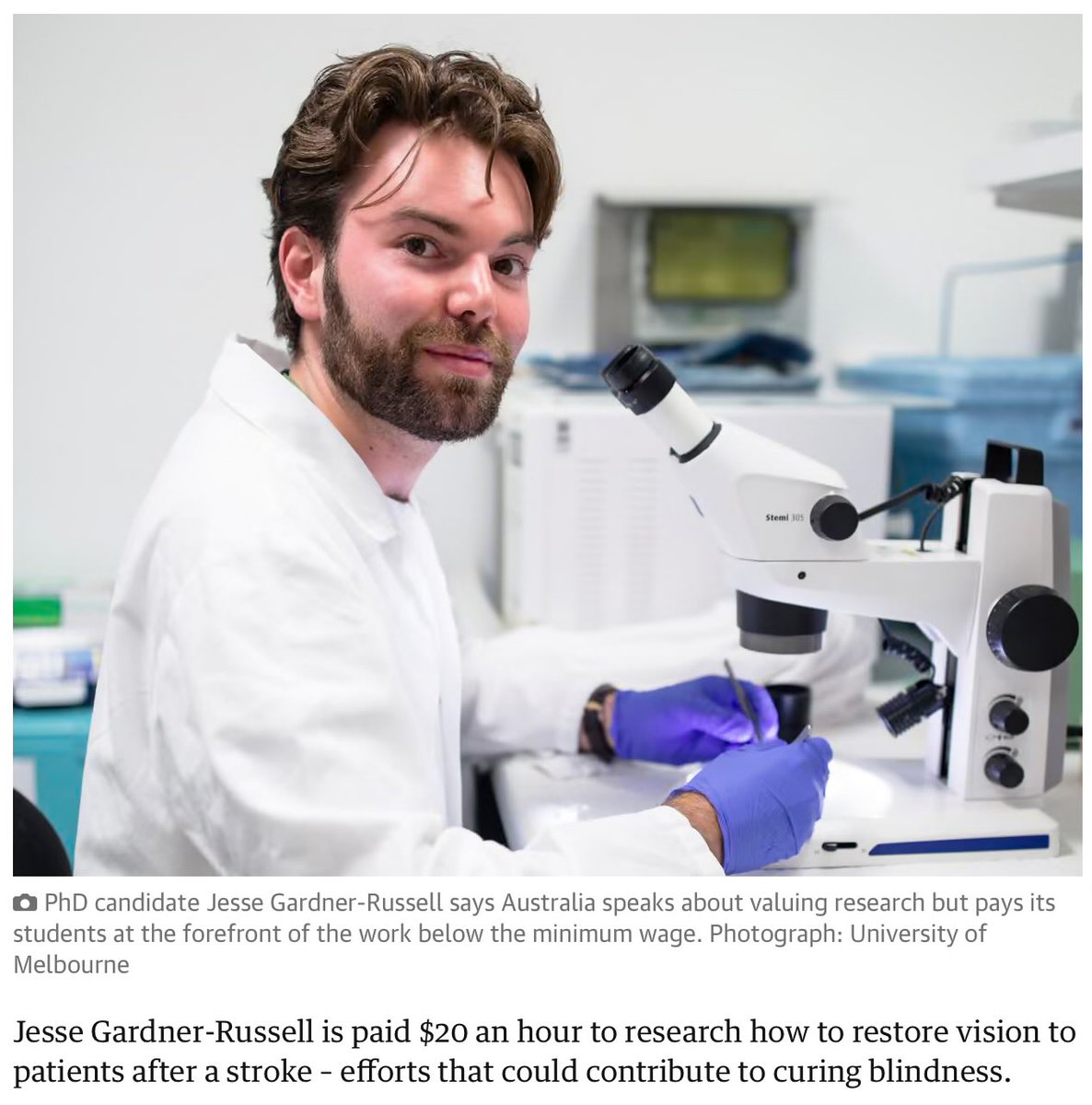 Rex Patrick tweet media