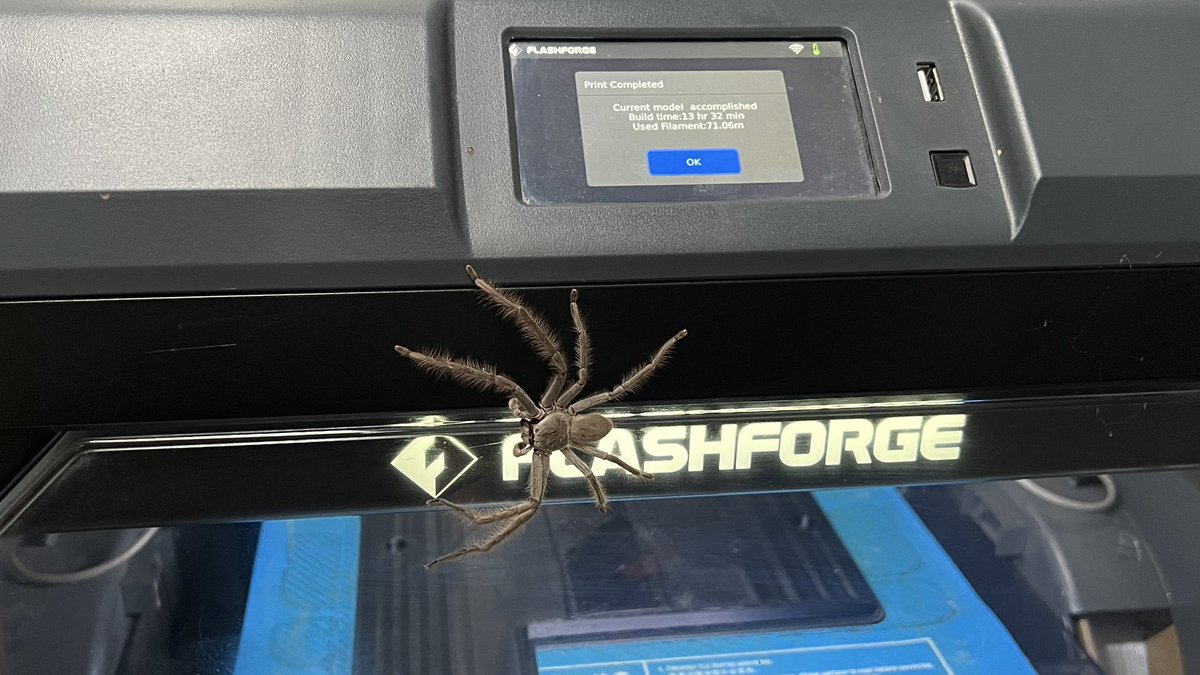 Michael Lord tweet media