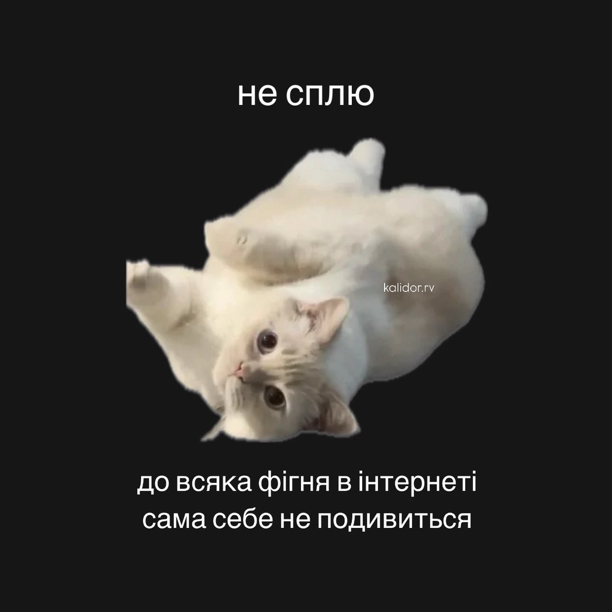 rivneself's tweet photo. хто це в мене тут?) https://t.co/0SxUJkkoQm