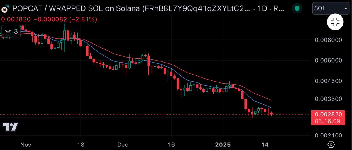 rubba mayne tweet media