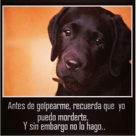 EnriQuito1959's tweet photo. https://t.co/Ofh2Z0zWaY