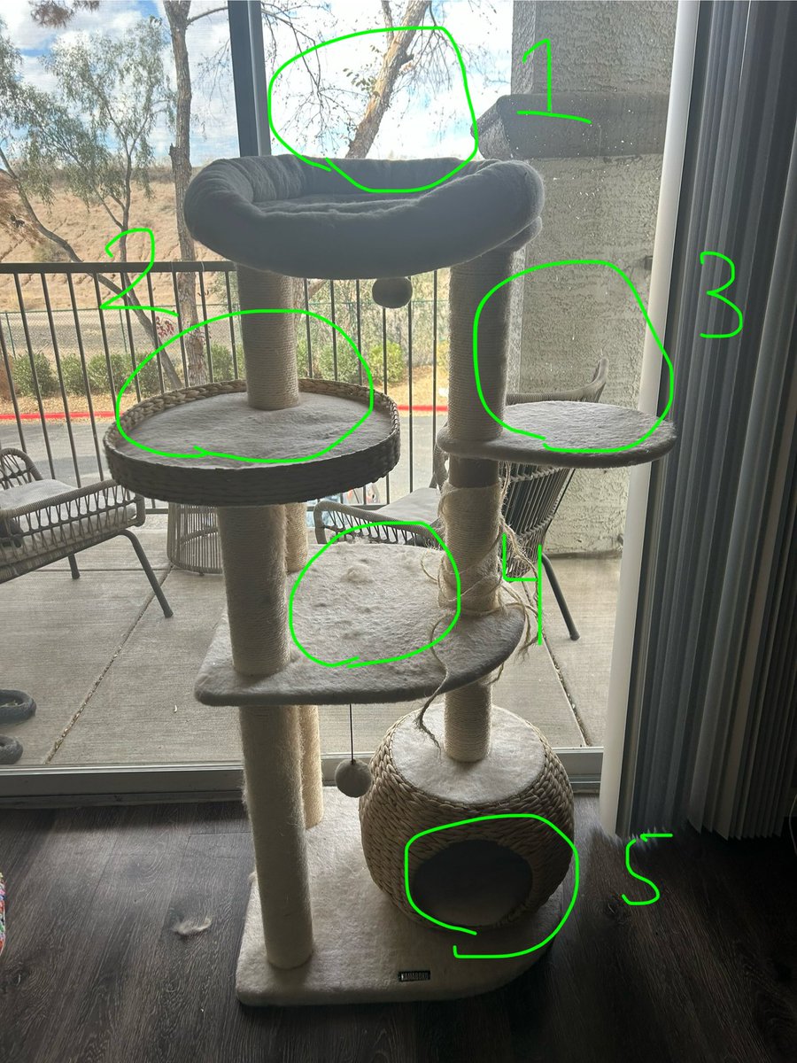 Help me and my boys settle a debate, what’s the best spot on the cat tower?