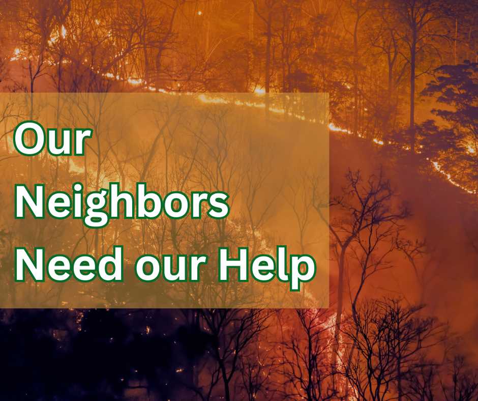 The Solano Community Foundation stands in solidarity with Southern California communities devastated by recent wildfires.
Read full PRESS RELEASE: bit.ly/PR-SCFsupportS…