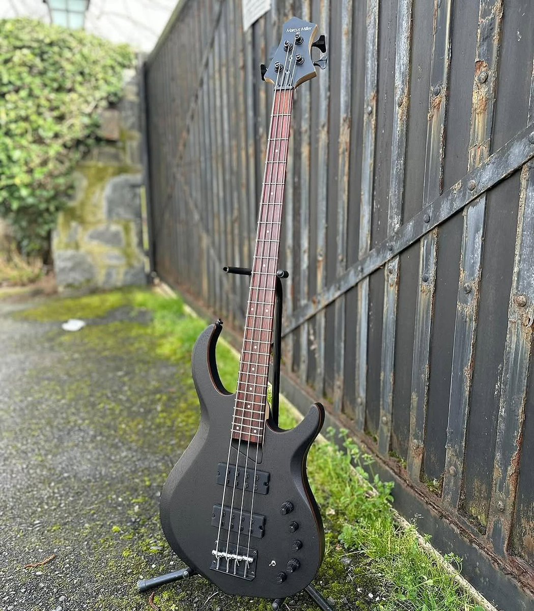sireusaofficial's tweet photo. Imagine including a black one to your #SireCollection 📸: @sirebassindia (IG) l #Sirebass #MarcusMiller #SireM2 https://t.co/cZHt7GC5Df
