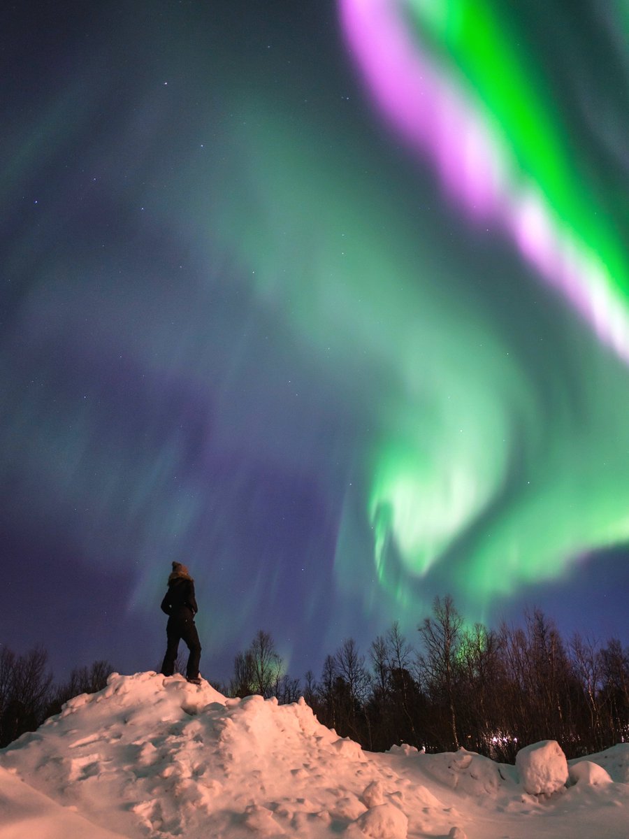 Theres nothing quite like it. 

If you want to feel tiny, just look up 🌌