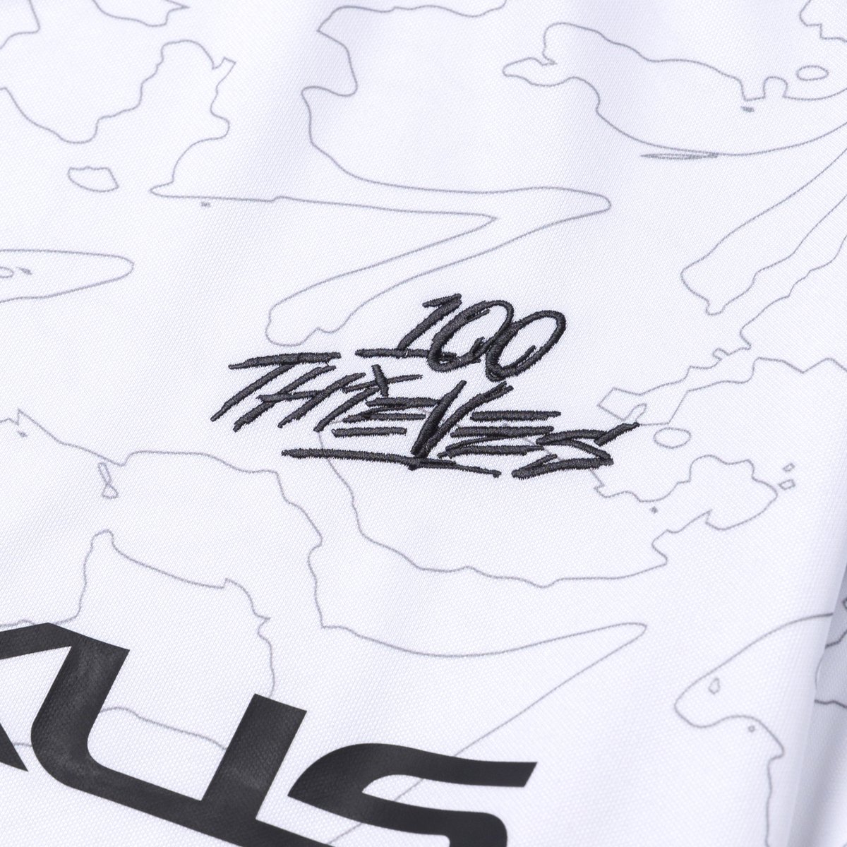 100 Thieves tweet media