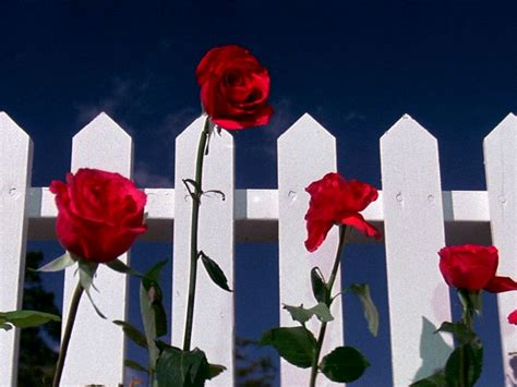 Il avait pourtant l'interdiction formelle de mourir 😢