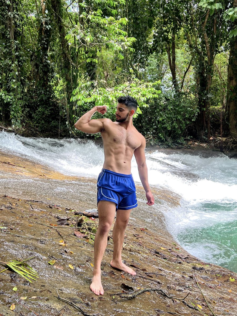 Alejandro tweet media