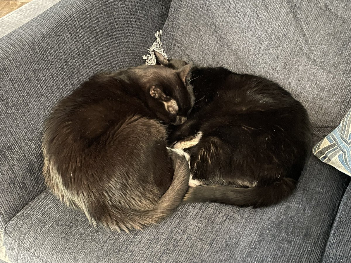 Wednesday & Nikolai tweet media